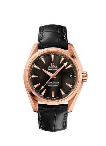 Omega SEAMASTER AQUA TERRA 150 M MASTER ...
