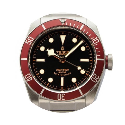 Tudor Heritage Black Bay 79220R Steel (N...