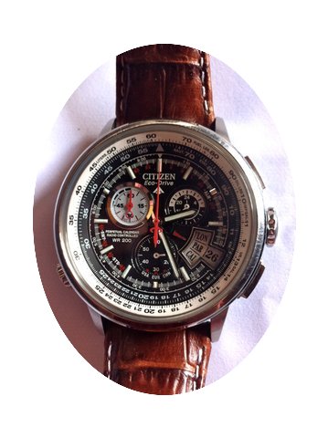 Citizen WR-200...