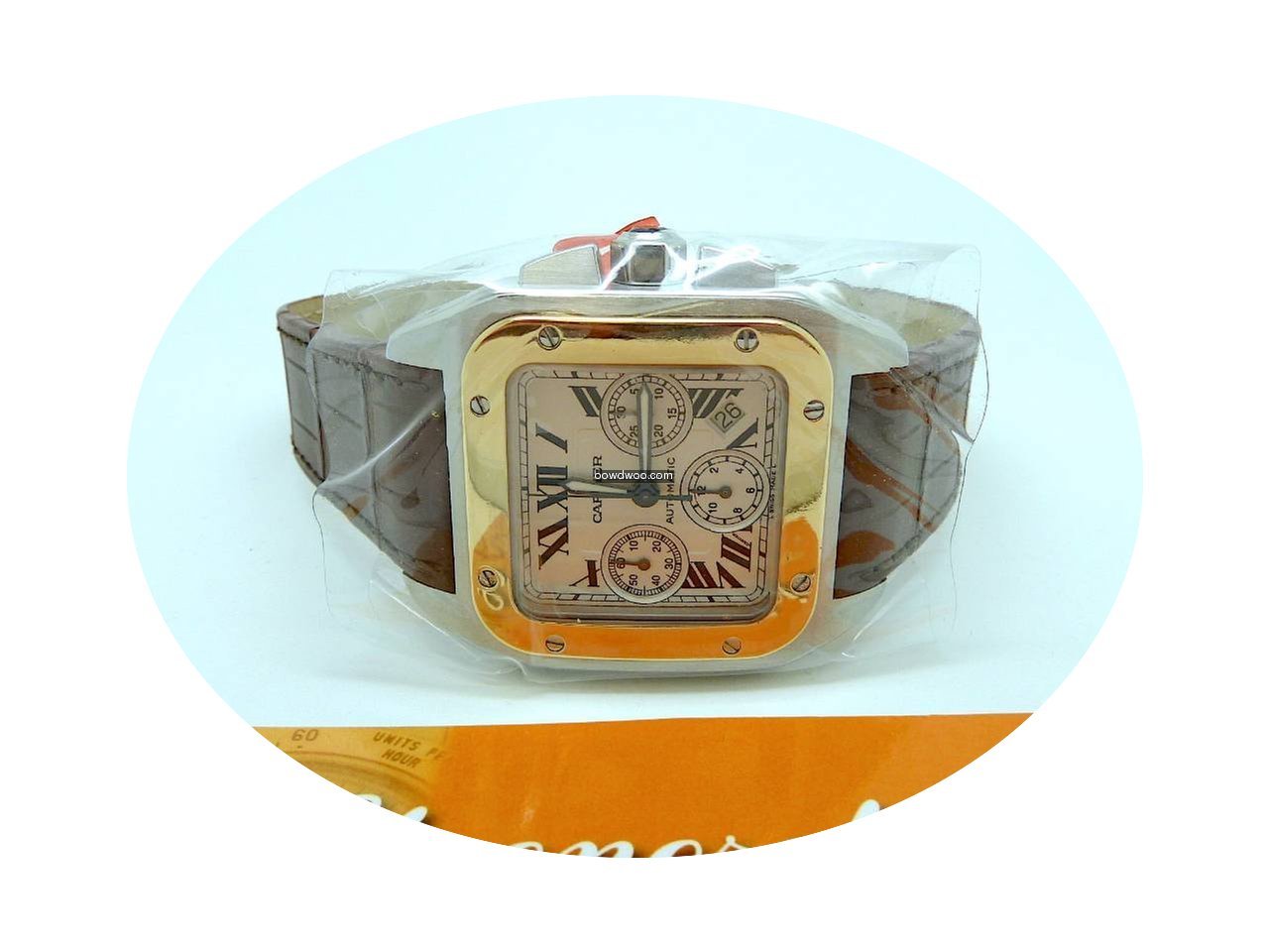 Cartier Santos 100...