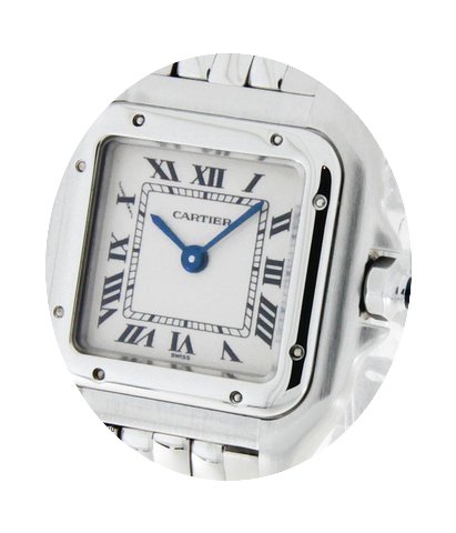 Cartier Panthere Lady...