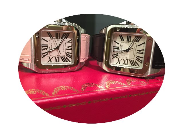 Cartier Santos 100 Medium W20106X8...