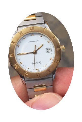 Eberhard & Co. Royal Quartz acciaio ...