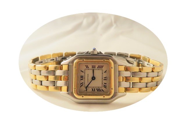 Cartier Panthere 18k Steel Gold 3 Lines ...