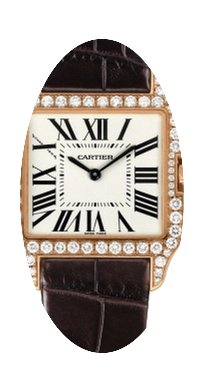 Cartier Santos Dumont...