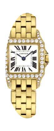 Cartier Santos de Cartier...