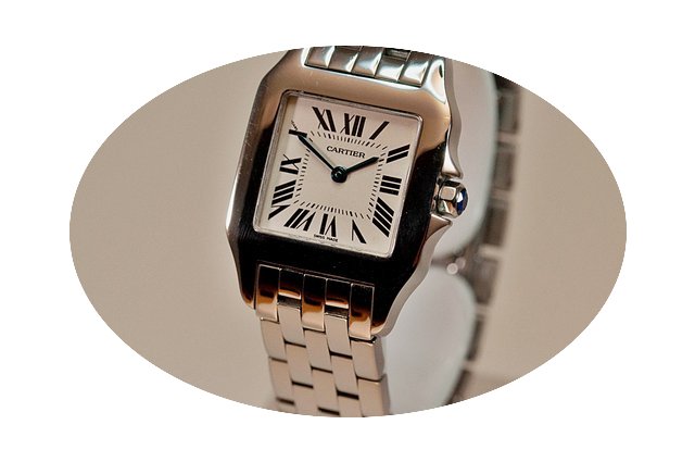 Cartier Santos Demoiselle...