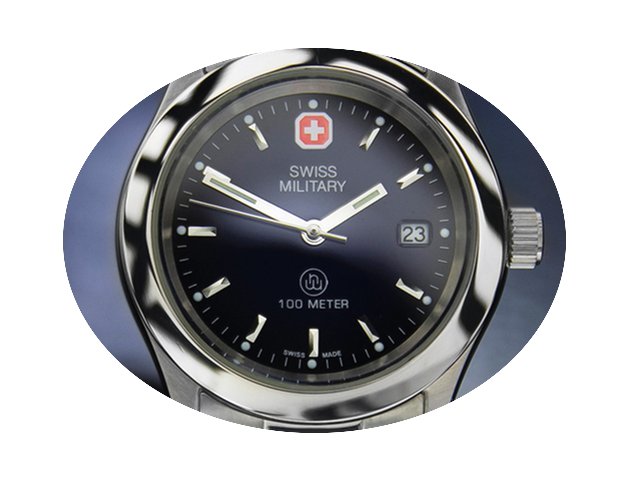 Swiss Military 6-523 Quartz w/Date Stain...