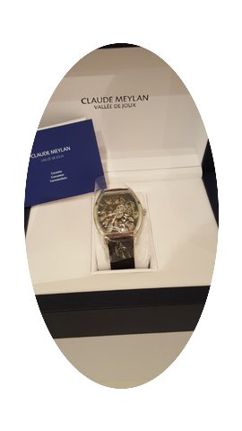 Claude Meylan Tortue de Joux...