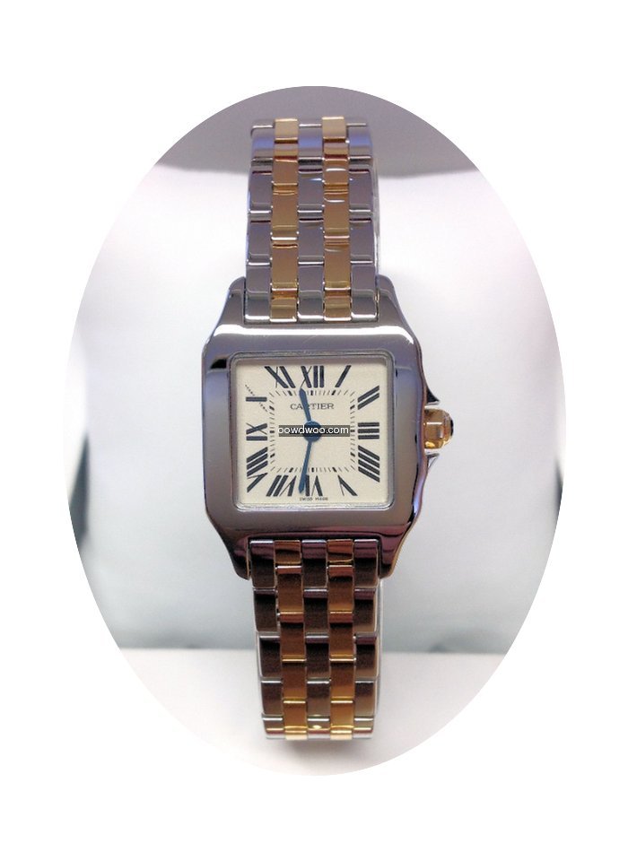 Cartier Santos Demoiselle W25066Z6 - Box...
