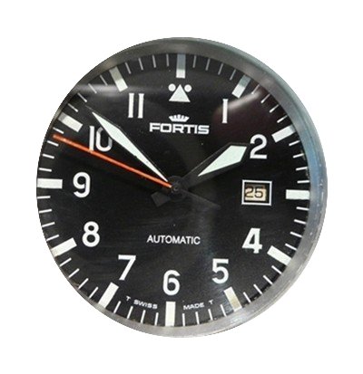 Fortis Flieger Pilot...