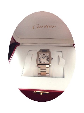 Cartier Tank Solo Stainless Steel Medium...