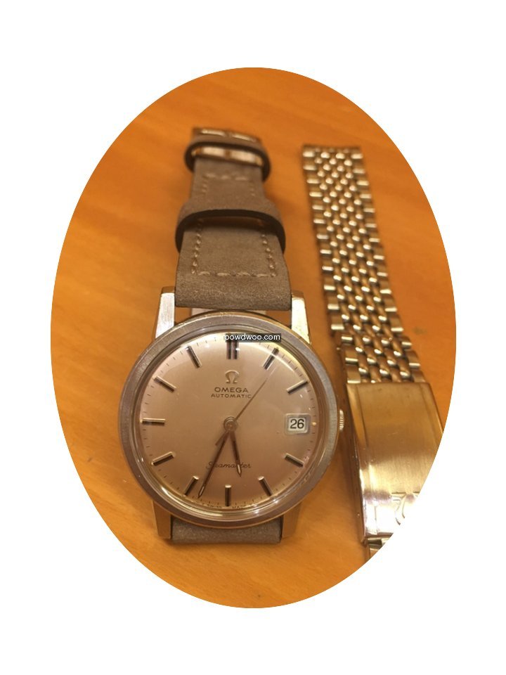 Omega Seamaster...