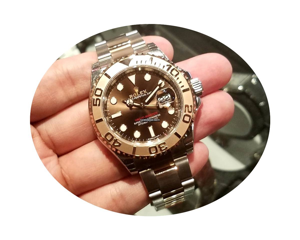 Patek Philippe 116621 Chocolate Dial (20...