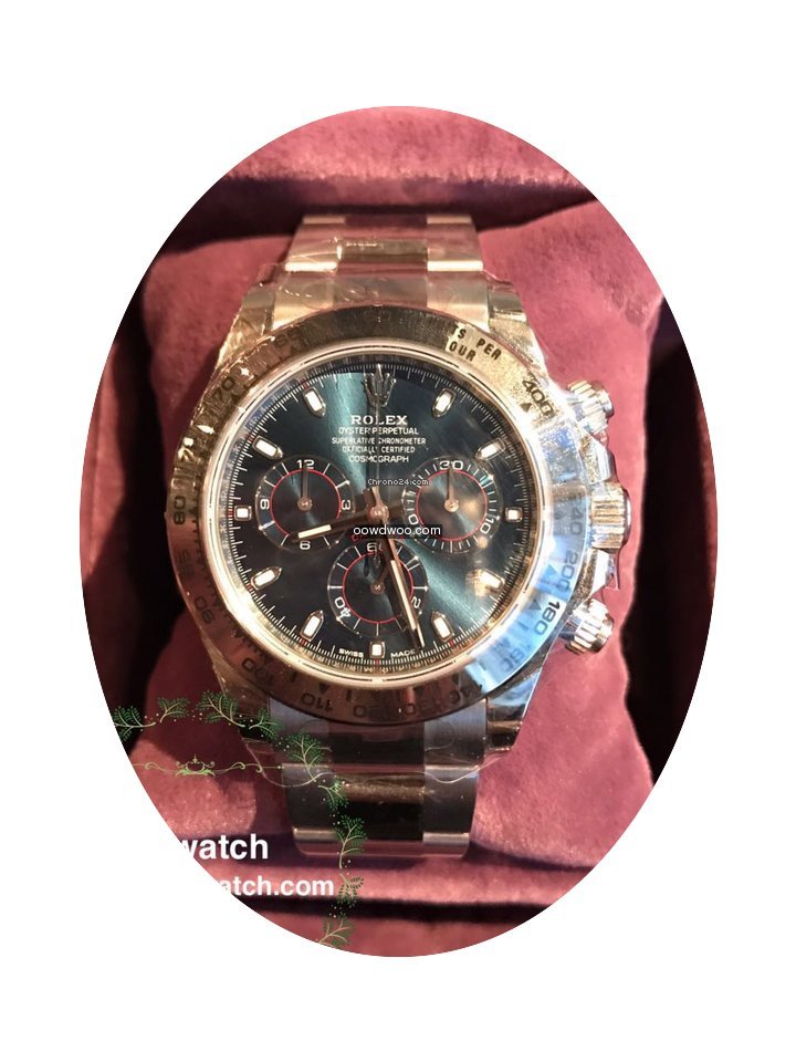 Rolex 116509...