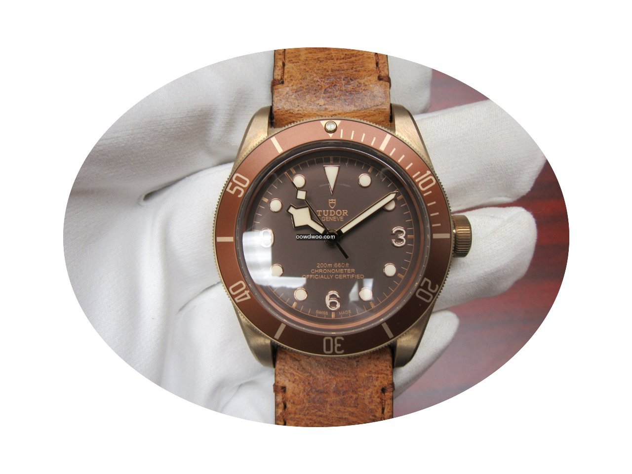 Tudor Heritage Black Bay Bronze...