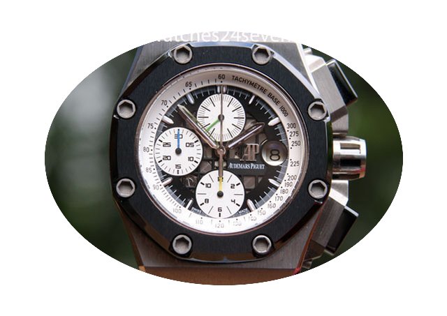 Audemars Piguet Rubens Barricello ll Ti ...