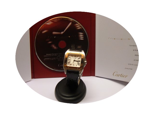Cartier Santos 100...