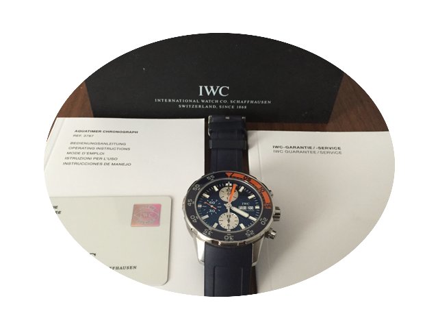 IWC Aquatimer...