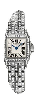 Cartier Santos de Cartier...