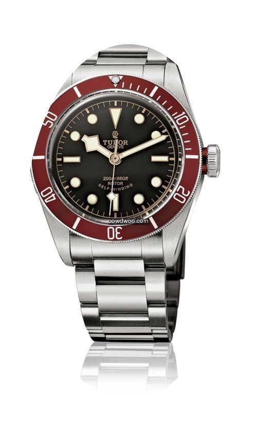 Tudor Heritage Black Bay...