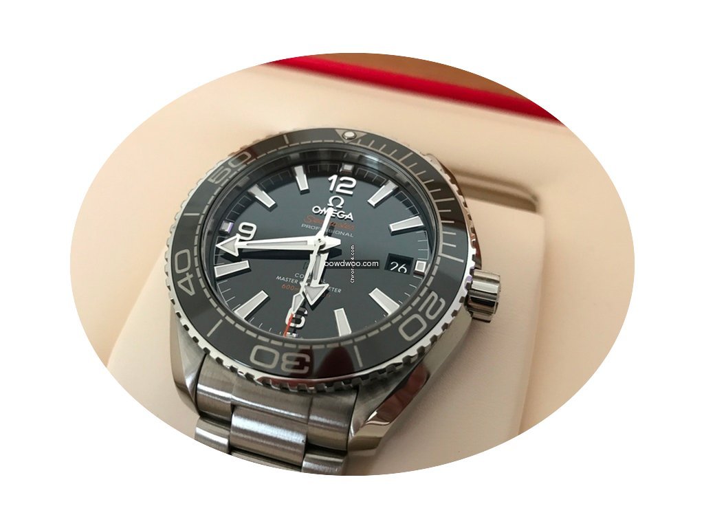 Omega    Seamaster Professional    CoAxi...