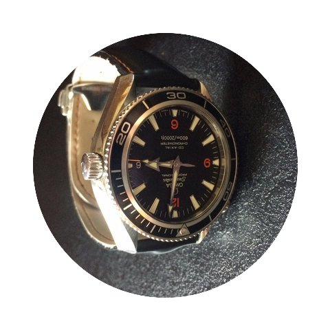 Omega Seamaster Planet Ocean...