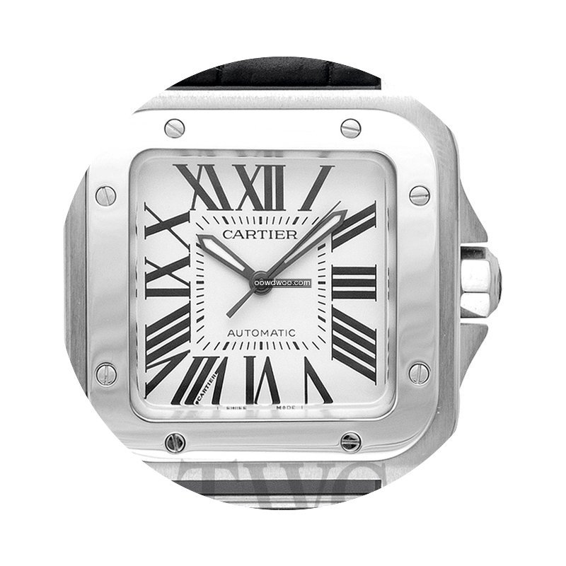 Cartier Santos 100 Woman Medium Model Si...
