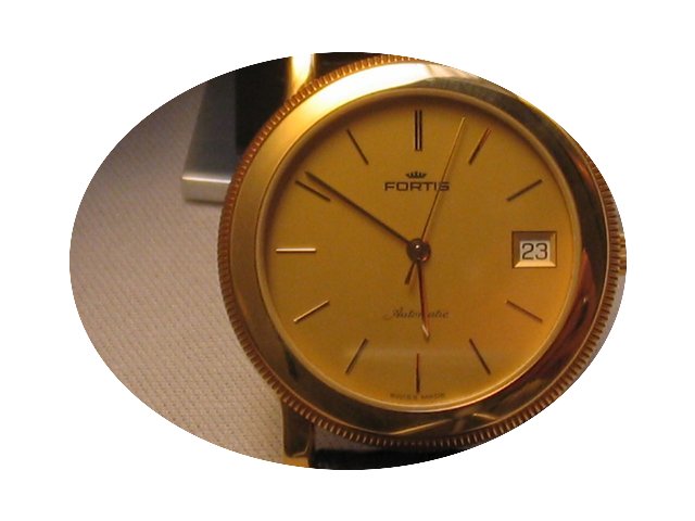 Fortis 573.30.34...