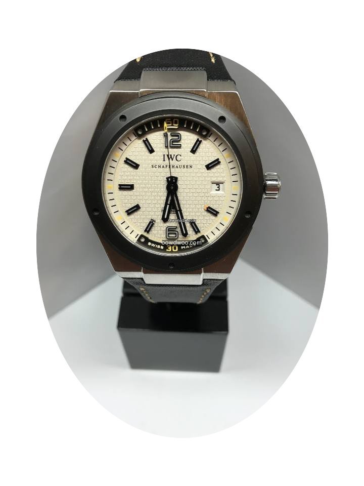 IWC Ingenieur Automatic Climate Action...