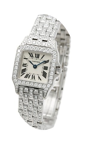 Cartier Santos Demoiselle...
