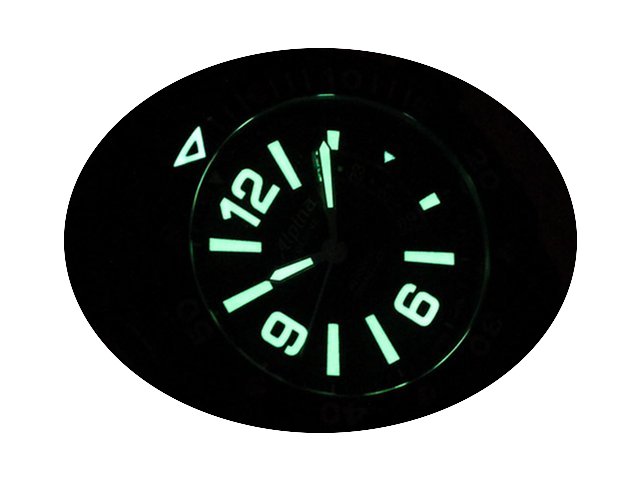 Alpina Avalanche Extreme Diver 1000 Blac...