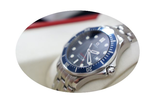 Omega Seamaster Professional...