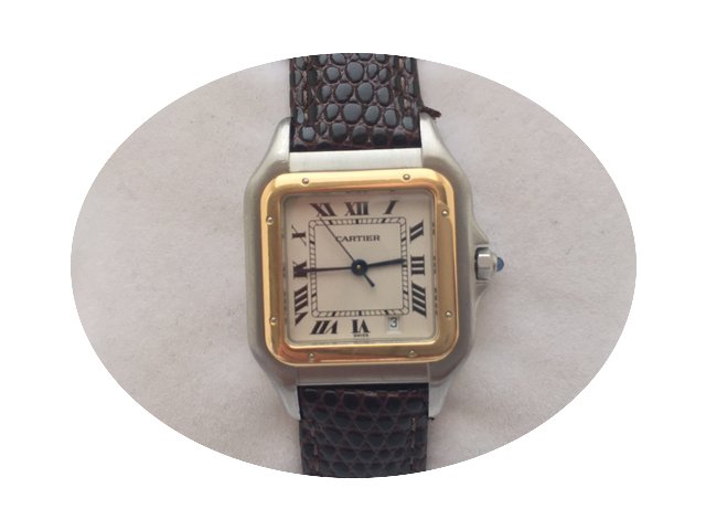 Cartier Pantehere...