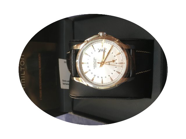 Hamilton TRAVELER GMT...