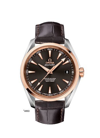 Omega SEAMASTER AQUA TERRA 150 M MASTER ...