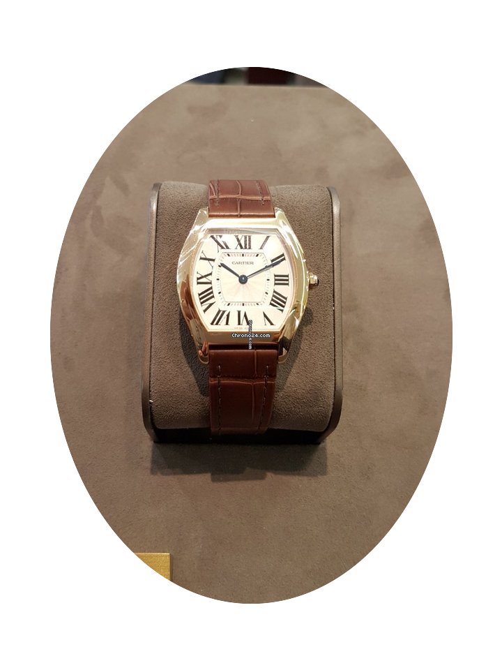 Cartier TORTUE...