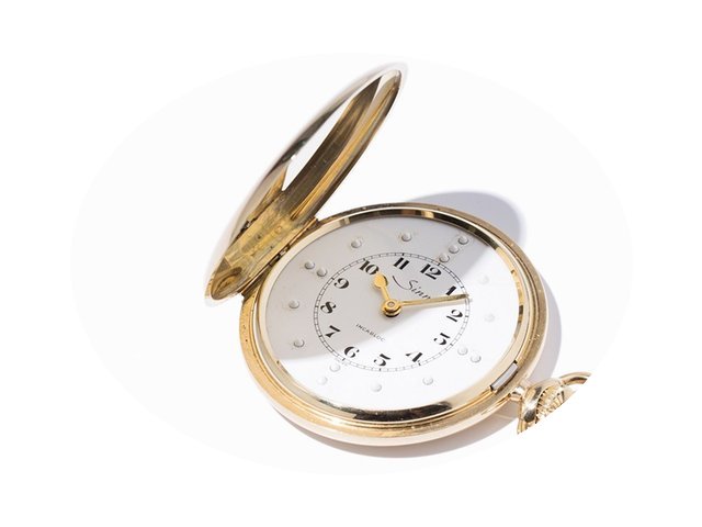 Sinn Blind Hunter Watch...