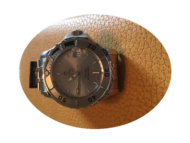 Tudor Princedate hydronaut...