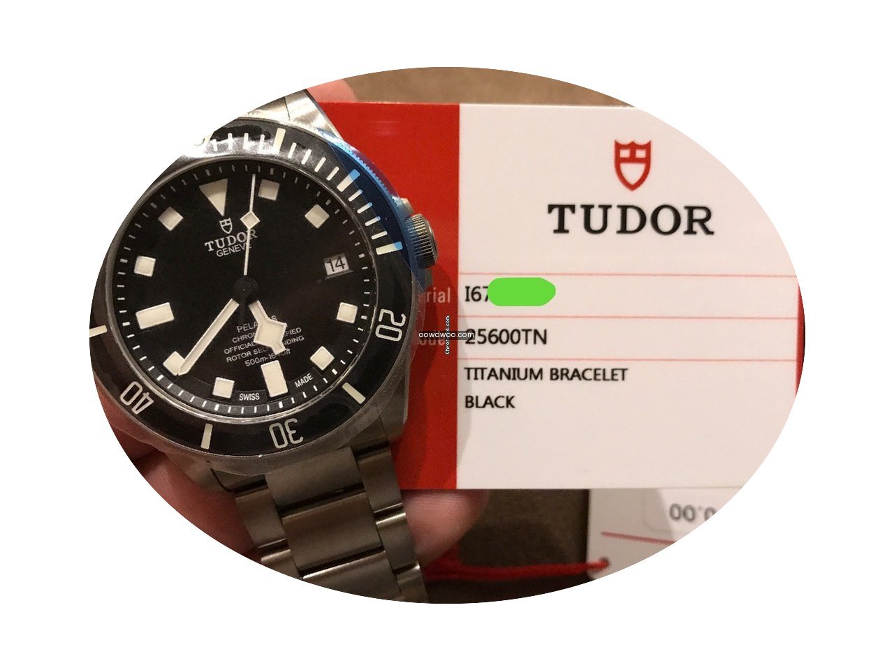 Tudor Pelagos...