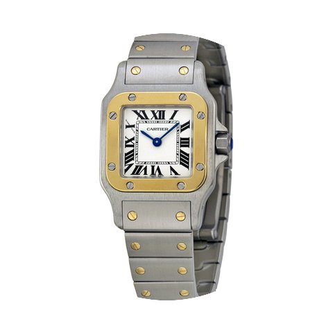 Cartier Santos de Cartier...