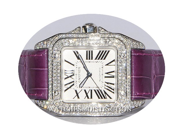 Cartier SANTOS 100 W2010 X8...