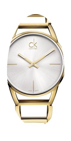 ck Calvin Klein Stately K3G23526 Damenar...