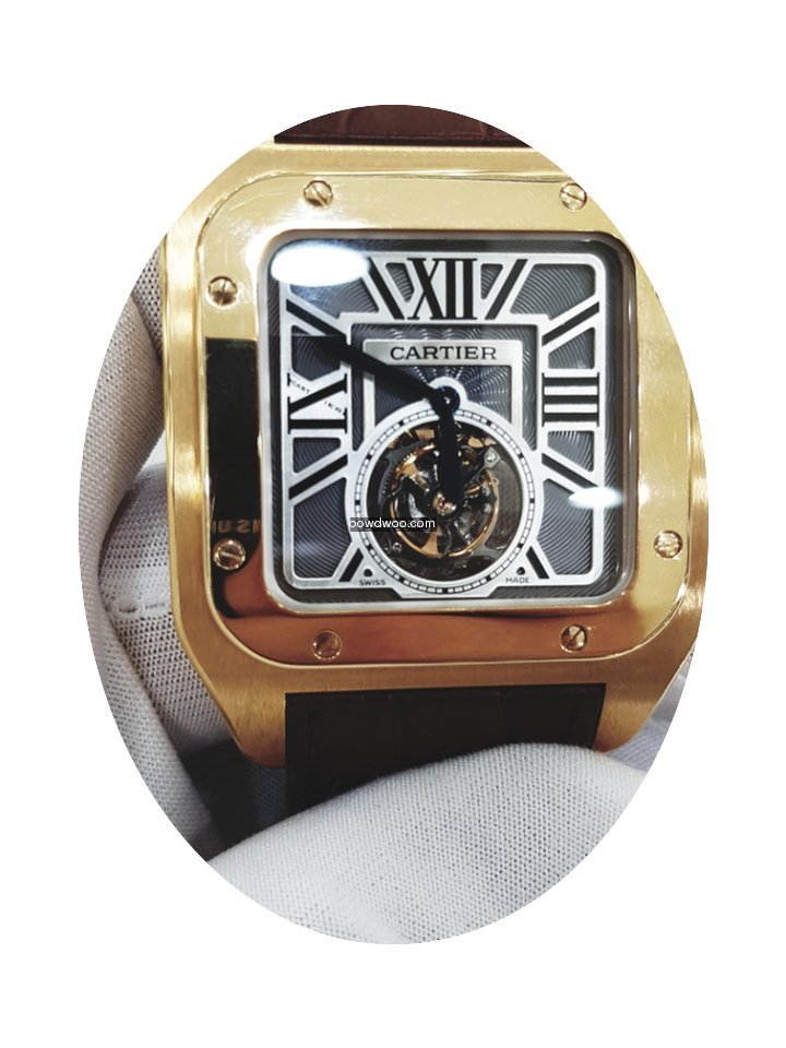 Cartier Santos de Cartier Santos 100 Fly...