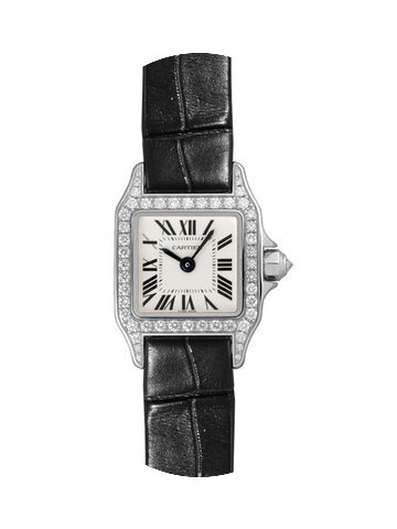 Cartier Santos Demoiselle...