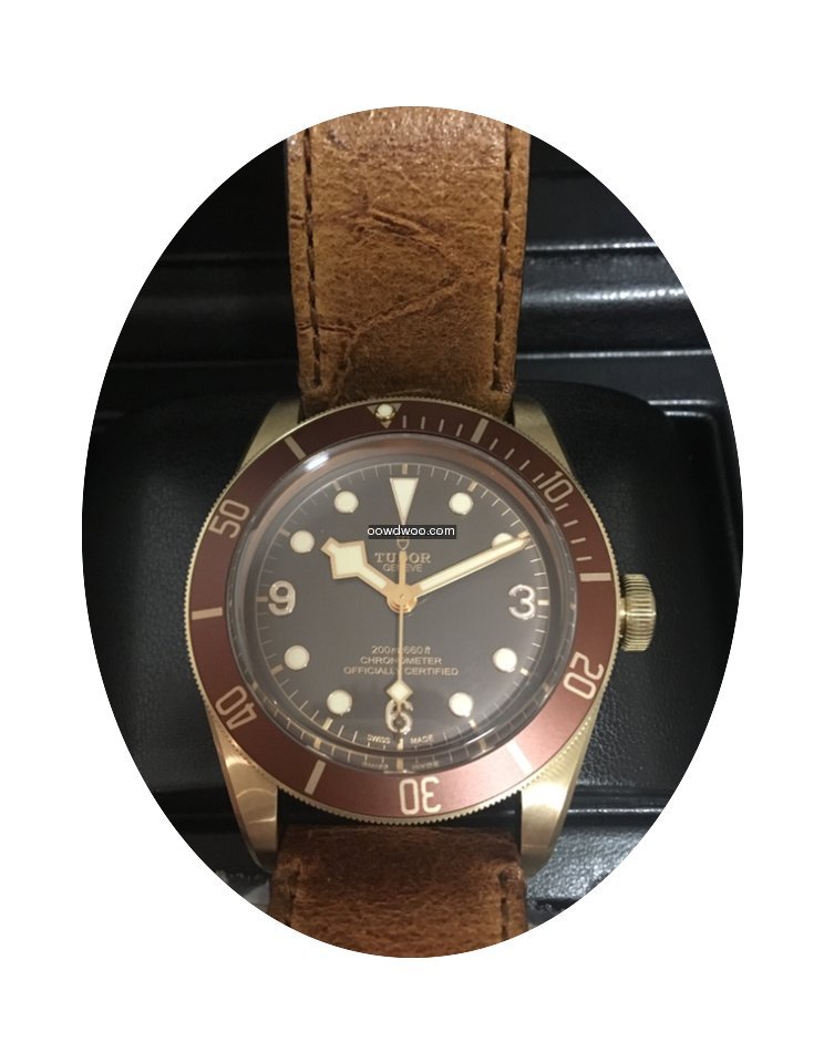 Tudor Heritage Black Bay bronzo 79250BM...