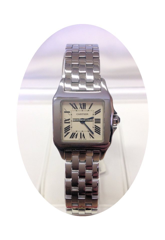 Cartier Santos Demoiselle W25064Z5 - Box...