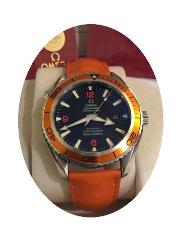 Omega Seamaster Planet Ocean...