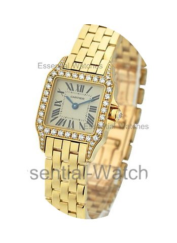 Cartier Santos Demoiselle Small Size...