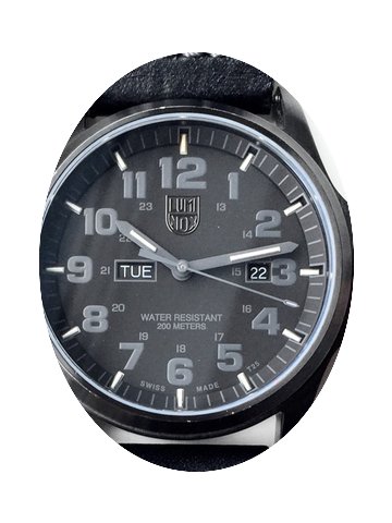 Luminox Atacama Field...